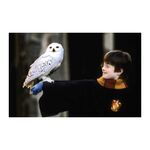 Product Harry Potter: The Postcard Collection thumbnail image