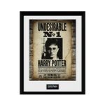Product Harry Potter Framed Poster No.1 Undesirable thumbnail image