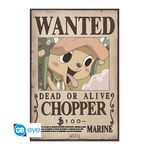 Product Αφίσες Σετ των 2 One Piece Chibi Wanted Brook & Chopper thumbnail image
