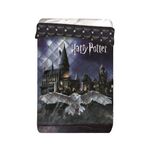 Product Πάπλωμα Harry Potter thumbnail image