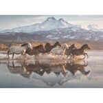 Product Παζλ 58376 Horses In Cappadocia 1000 Κομμάτια thumbnail image