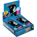 Product Panini Harry Potter (1pc) thumbnail image