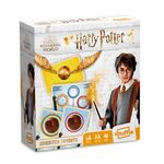 Product Shuffle Games Harry Potter Quidditch Tryouts thumbnail image