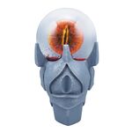 Product Lord Of The Rings Snow Globe thumbnail image