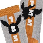 Product Κάλτσες Pokemon Eevee thumbnail image