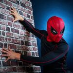 Product Hasbro Marvel Legend Series: Spider-Man Homecoming - Electronic Expressive Mask (G0633) thumbnail image