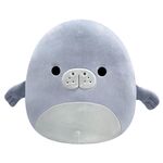 Product Squishmallows Maeve The Blue Seal thumbnail image