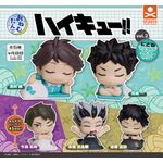Product Gashapon Onemutan Haikyuu (1 Random Figure) thumbnail image