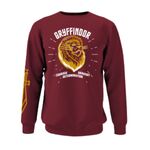 Product Φούτερ Harry Potter Gryffindor Team thumbnail image