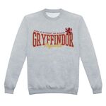 Product Harry Potter Gryffindor Collegiate Sweatshirt thumbnail image