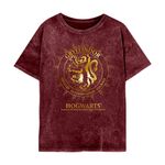 Product Harry Potter Gryffindor Constellation T-shirt thumbnail image