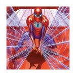Product Marvel Spiderman Tapestry thumbnail image