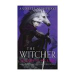 Product The Witcher The Lady of the Lake : Collector's Hardback Edition thumbnail image