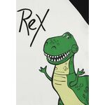 Product Toy Story Raglan Short Sleeved Rex T-shirt thumbnail image