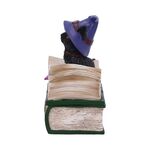 Product Nemesis Now Adult: Gothic - Binx Figure (11cm) thumbnail image