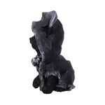 Product Φιγούρα Nemesis Now Adult: Gothic - Amara Figure (10.2cm) thumbnail image