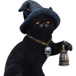 Product Nemesis Now: Familiar's Lantern (U7227C25) thumbnail image