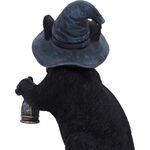 Product Nemesis Now: Familiar's Lantern (U7227C25) thumbnail image