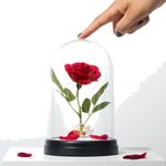 Product Enchanted Rose Light thumbnail image