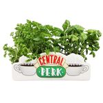 Product Friends Table Top Vase Central Perk thumbnail image