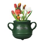 Product Harry Potter Slytherin Cauldron Shaped Wall Vase thumbnail image