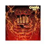 Product Cobra Kai Vinyl thumbnail image