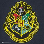 Product Cinereplicas Movies: Harry Potter - Hogwarts Wall Banner (CR2130) thumbnail image