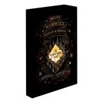 Product Καμβάς Harry Potter Marauders Map Light Canvas thumbnail image