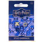 Product Σκουλαρίκια Harry Potter Chocolate Frog Gold Plated Stud Earrings thumbnail image