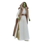 Product Φιγούρα Δράσης Hasbro Fans: Star Wars The Acolyte - Jedi Master Vernestra (G1548) thumbnail image