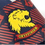 Product Slides Harry Potter Adult thumbnail image