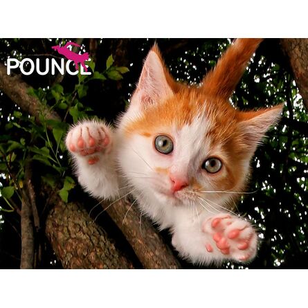 Παζλ 3D 10173 Jennifer 500 Κομμάτια