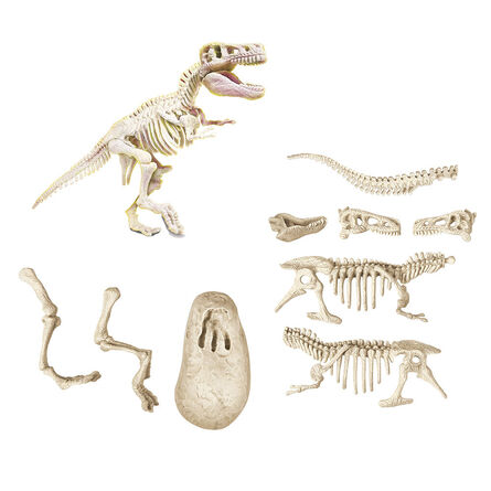 Εκπαιδευτικό Παιχνίδι AS Clementoni Μαθαίνω & Δημιουργώ Lab: Δεινόσαυροι - Τυραννόσαυρος (1026-63413)