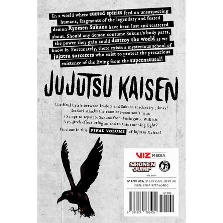 Jujutsu Kaisen, Vol. 30