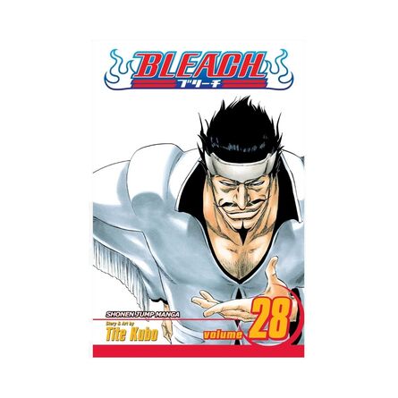 Bleach Vol.28