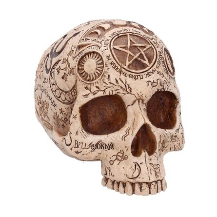 Φιγούρα Nemesis Now: Premium Quality - Apothecary Skull