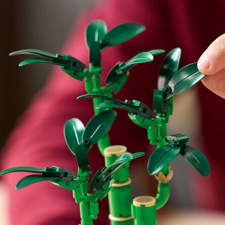 LEGO® Botanical Collection: Τυχερό Μπαμπού (10344)