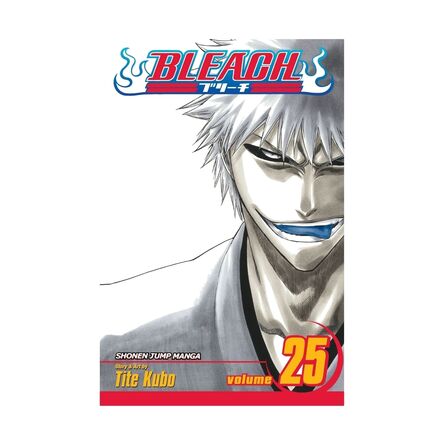 Bleach Vol.25