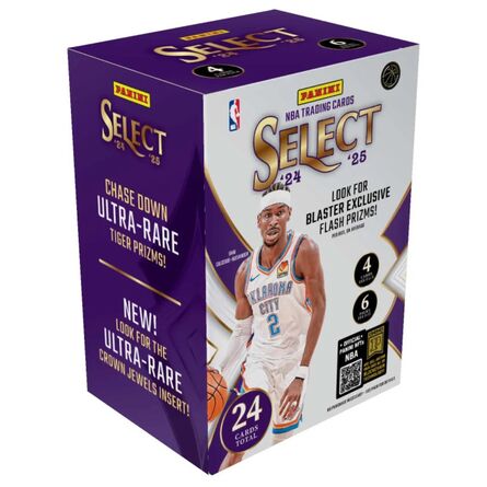 Panini Select Basketball 24/25 Blaster Box