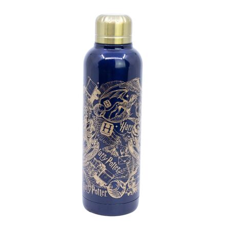 Harry Potter Magic & Mayhem Insulated Stainless Steel Bottle