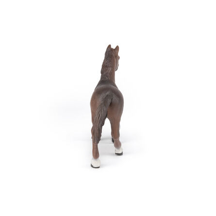 Φιγούρα 51075 Anglo-arab Mare