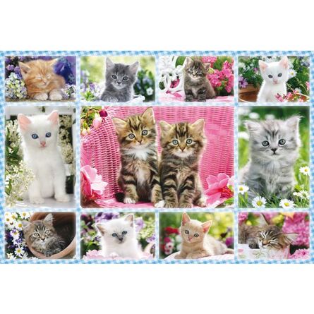 Παζλ 56135 Kittens 100 Κομμάτια