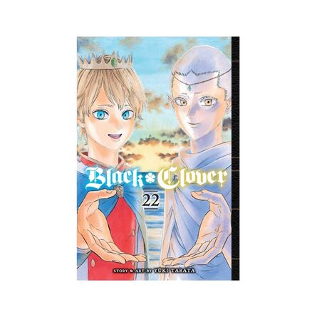 Black Clover Vol.22