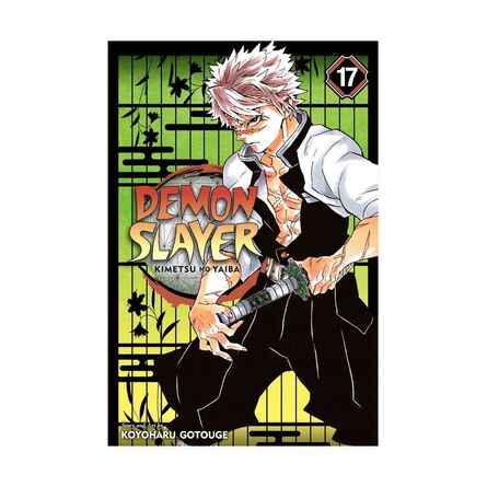 Demon Slayer Vol.17