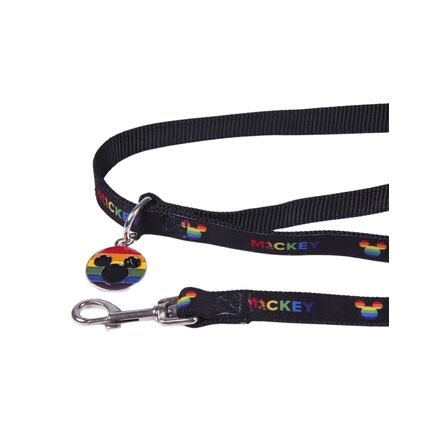 Disney Pride Dog Leash