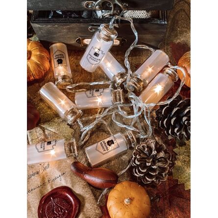 Harry Potter LED Glass Bottle Lights