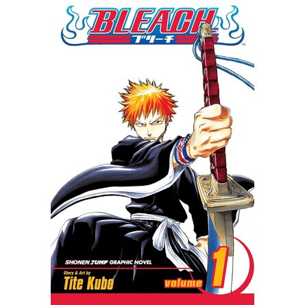 Bleach Vol.01