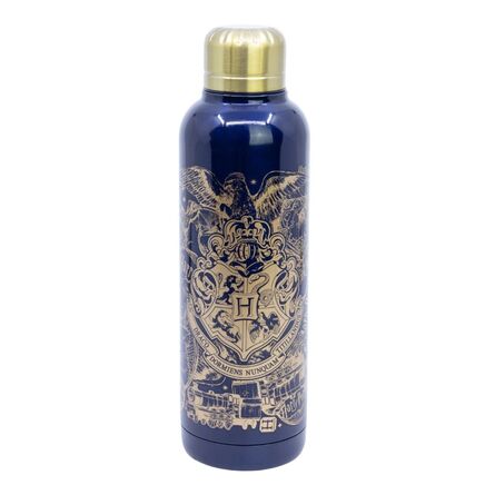 Harry Potter Magic & Mayhem Insulated Stainless Steel Bottle