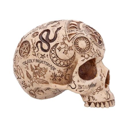 Φιγούρα Nemesis Now: Premium Quality - Apothecary Skull