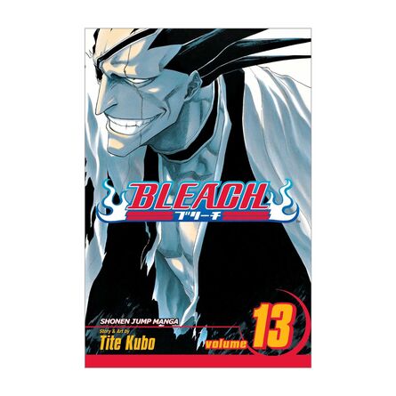 Bleach Vol.13
